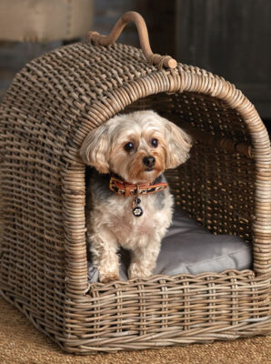 Rattan Pet Bed with Cushion