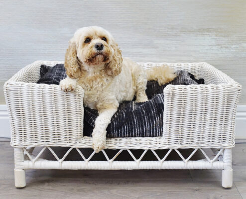 PE Rattan Dog Bed